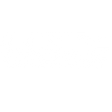 UTV TRENDZ