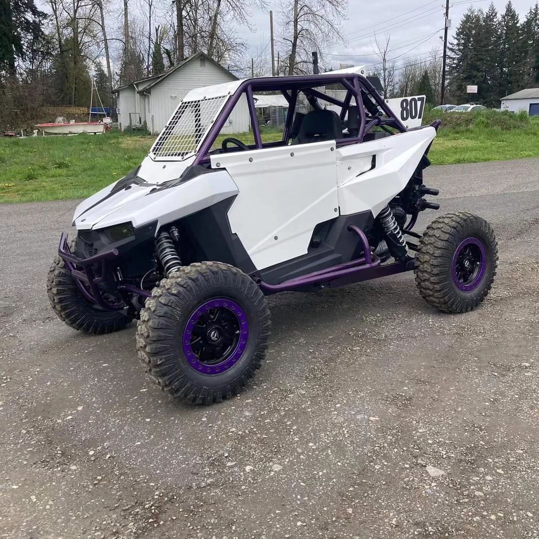 POLARIS RS1