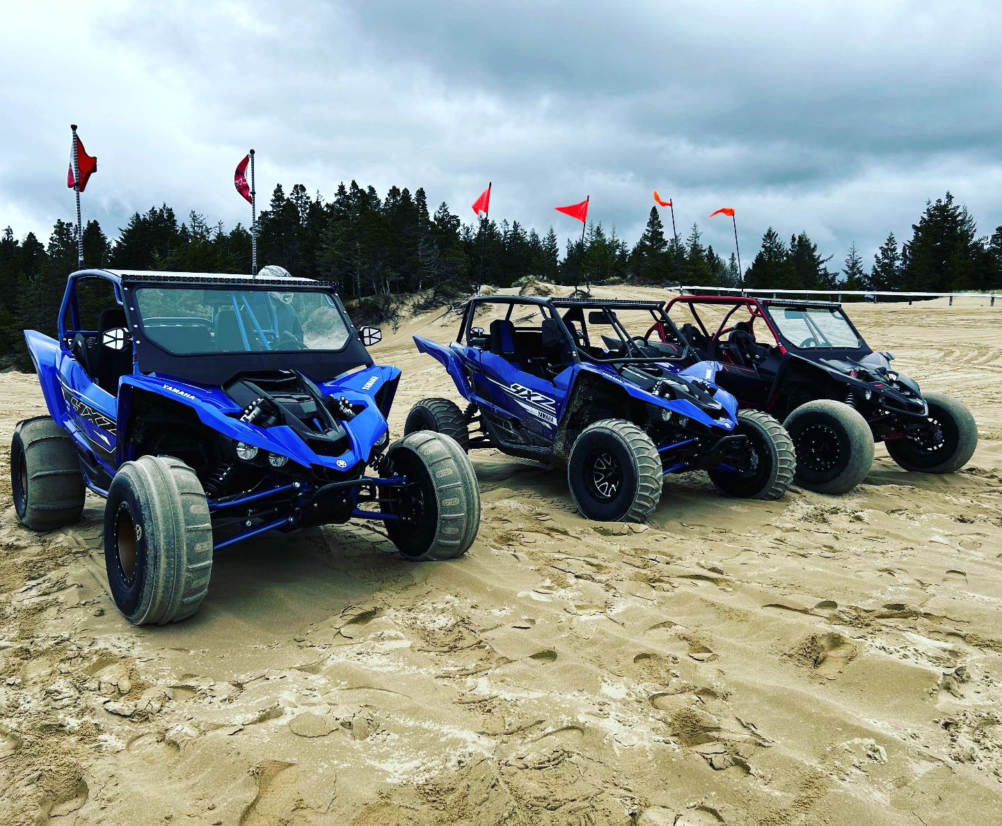 Yamaha YXZ Roll Cage